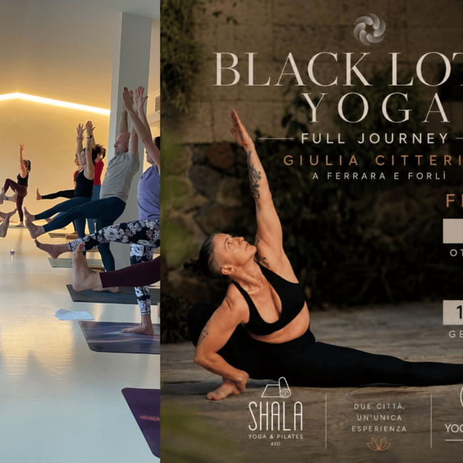 Black Lotus Yoga Full Journey